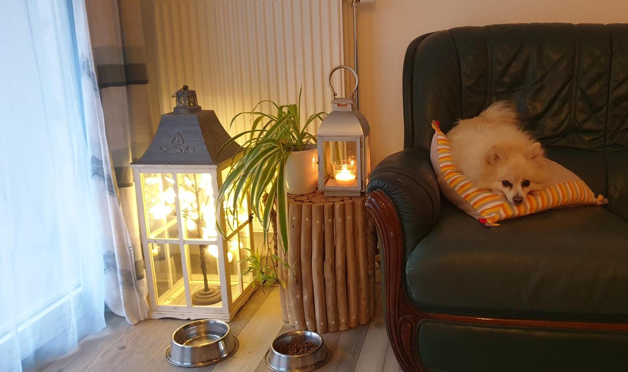Nergens Appartement Rotterdam Buitenkant foto